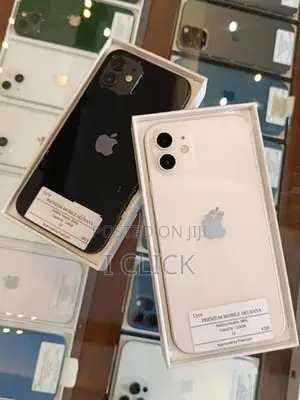 Apple iPhone 12 (Used)