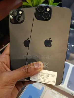 Apple iPhone 15 Plus (Used)