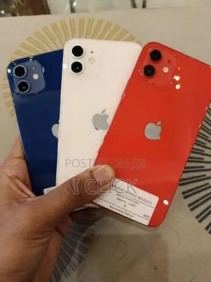 Apple iPhone 12 (Used)