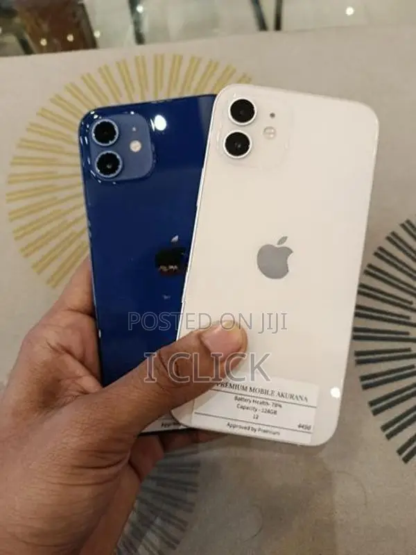Apple iPhone 12 (Used)