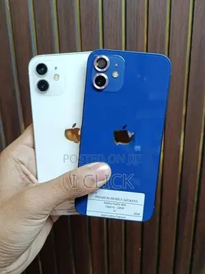 Apple iPhone 12 (Used)