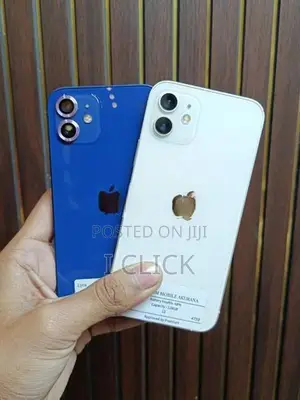 Apple iPhone 12 (Used)