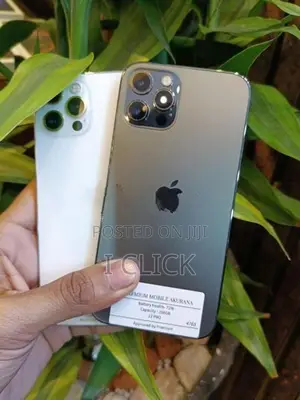 Apple iPhone 12 Pro (Used)