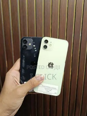 Apple iPhone 12 (Used)
