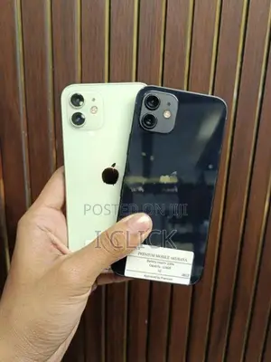 Apple iPhone 12 (Used)