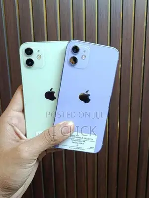 Apple iPhone 12 (Used)