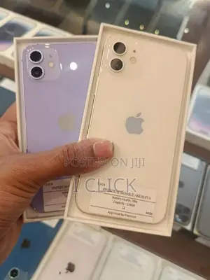 Apple iPhone 12 (Used)