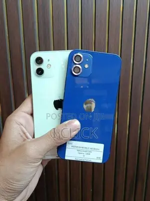 Apple iPhone 12 (Used)