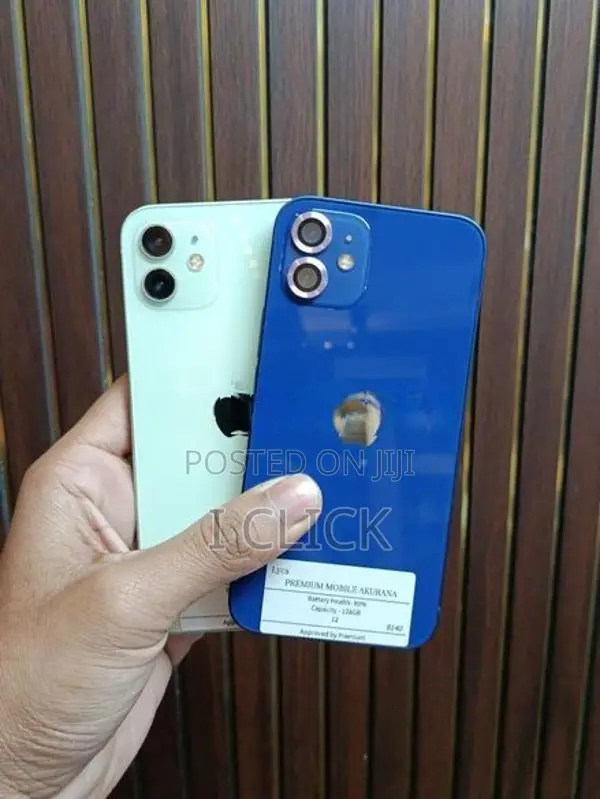 Apple iPhone 12 (Used)