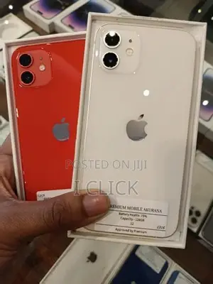 Apple iPhone 12 (Used)