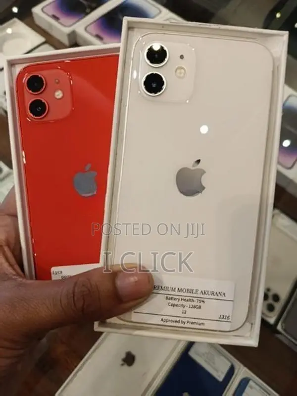 Apple iPhone 12 (Used)