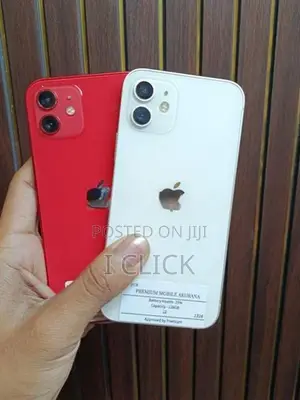 Apple iPhone 12 (Used)