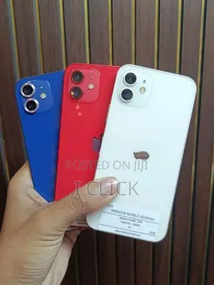 Apple iPhone 12 (Used)