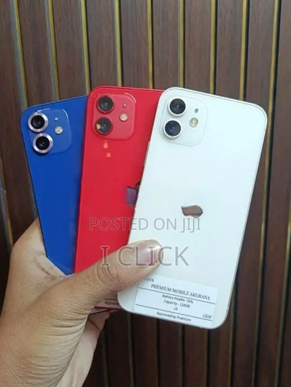 Apple iPhone 12 (Used)