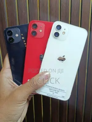 Apple iPhone 12 (Used)