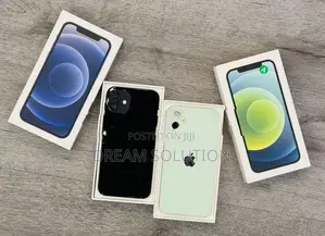Apple iPhone 12 256GB (Used)