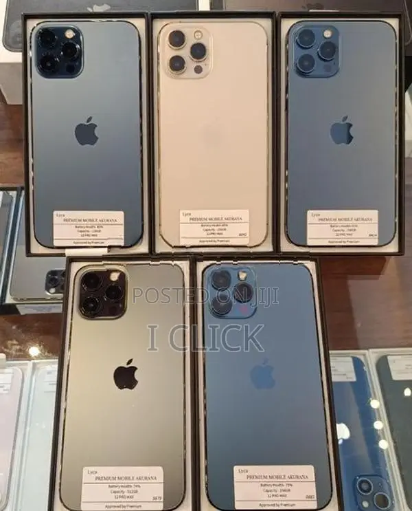 Apple iPhone 12 Pro Max (Used)
