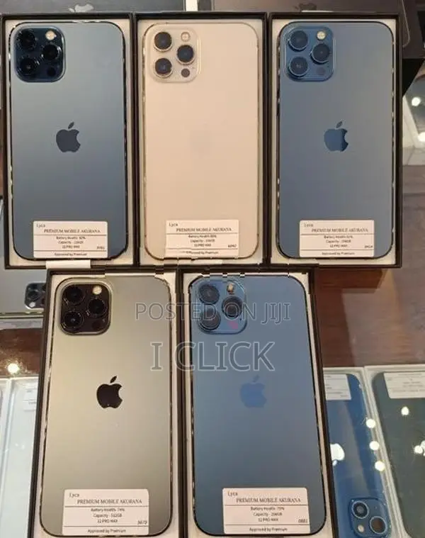 Apple iPhone 12 Pro Max 256GB (Used)