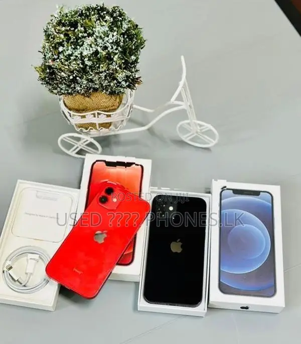 Apple iPhone 12 128GB (Used)