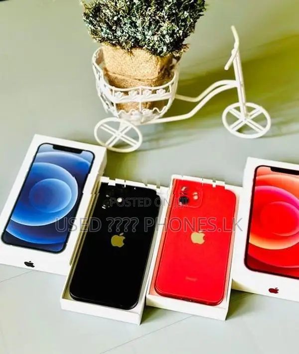 Apple iPhone 12 128GB (Used)