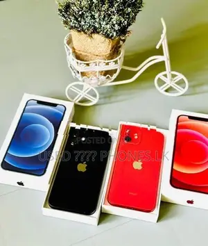 Apple iPhone 12 128GB (Used)