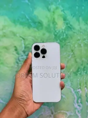 Apple iPhone 13 Pro 256GB (Used)