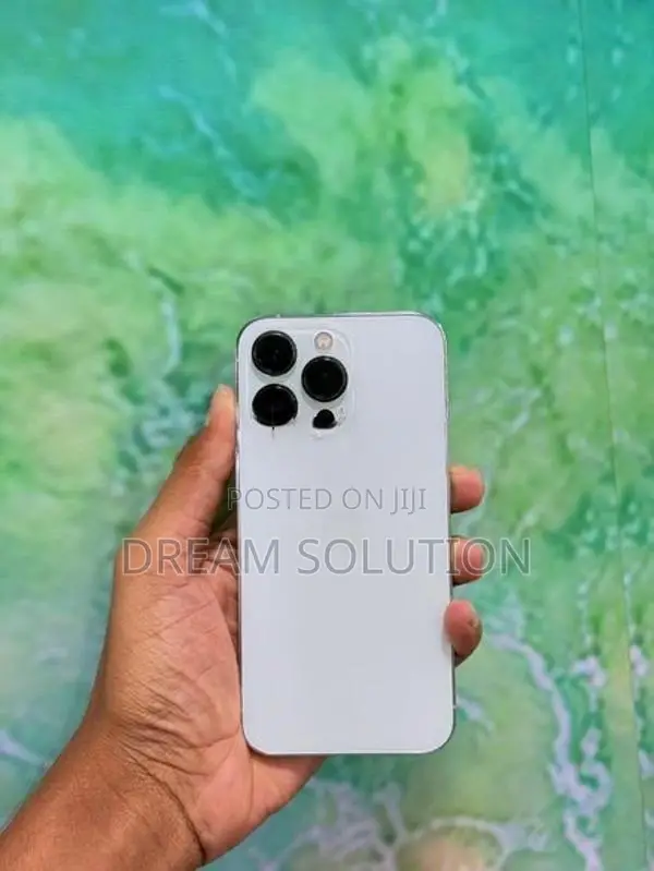 Apple iPhone 13 Pro 256GB (Used)