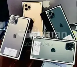 Apple iPhone 11 256 (Used)