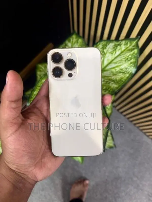 Apple iPhone 13 Pro 128GB (Used)