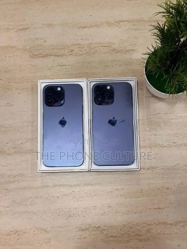 Apple iPhone 14 Pro Max 256GB (Used)