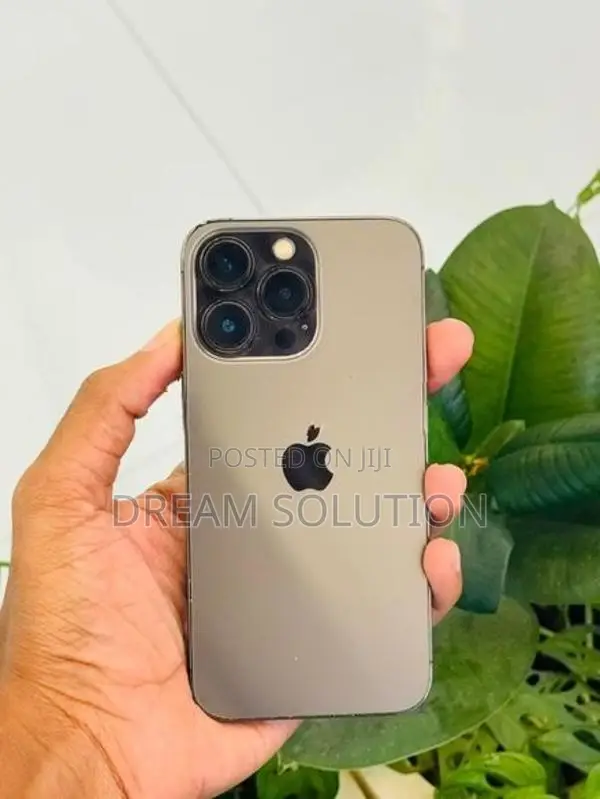 Apple iPhone 13 Pro 128GB (Used)