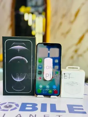 Apple iPhone 12 Pro Max 5G 256GB (Used)
