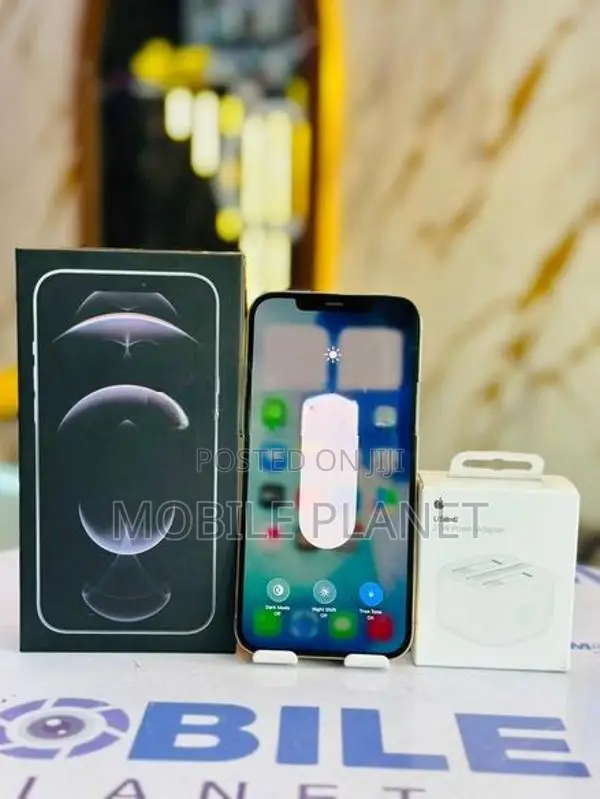 Apple iPhone 12 Pro Max 5G 256GB (Used)
