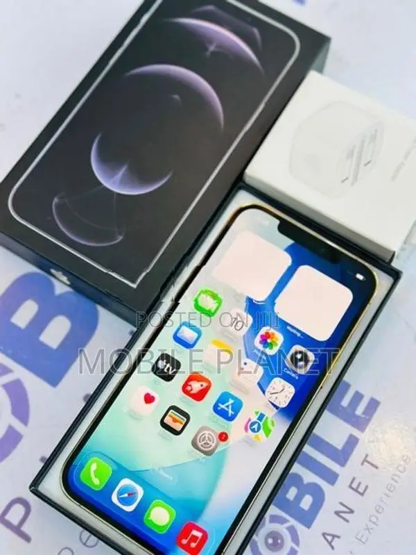 Apple iPhone 12 Pro Max 5G 256GB (Used)