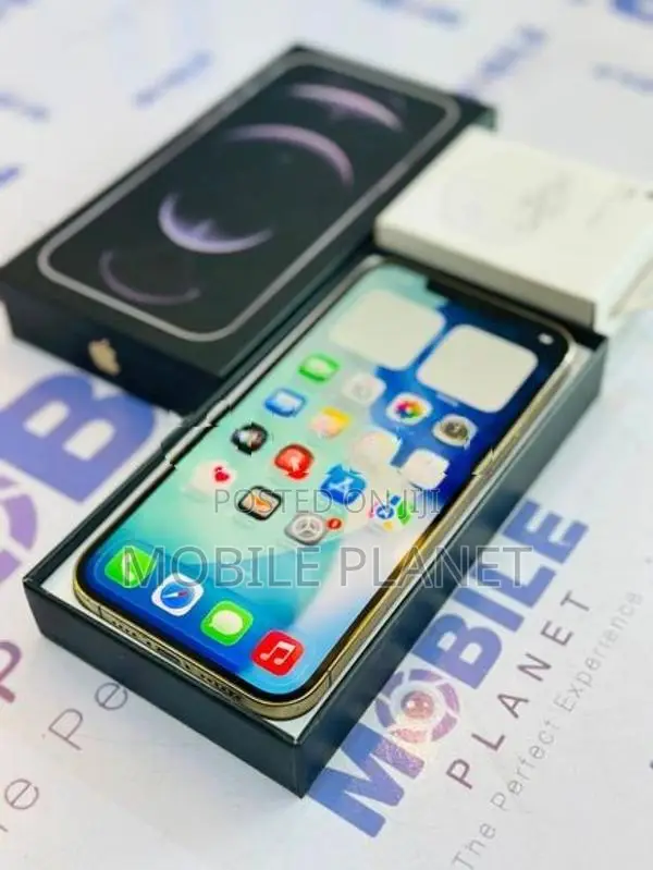 Apple iPhone 12 Pro Max 5G 256GB (Used)