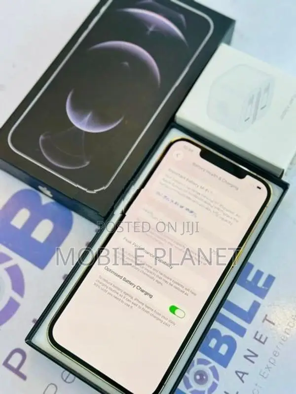 Apple iPhone 12 Pro Max 5G 256GB (Used)