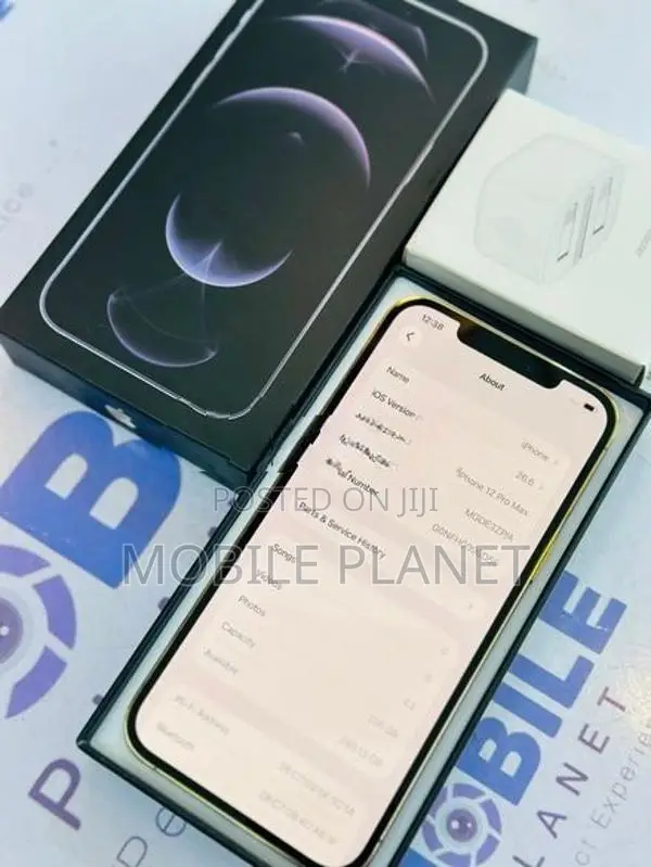 Apple iPhone 12 Pro Max 5G 256GB (Used)