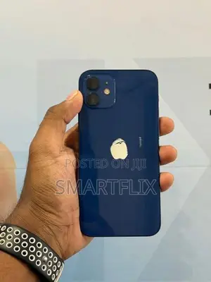 Apple iPhone 12 (Used)