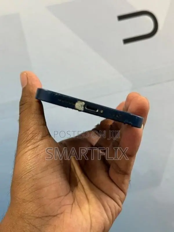 Apple iPhone 12 (Used)