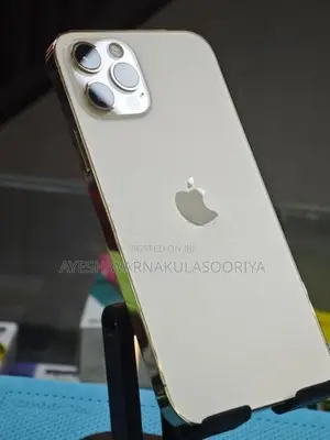Apple iPhone 12 Pro 256GB (Used)