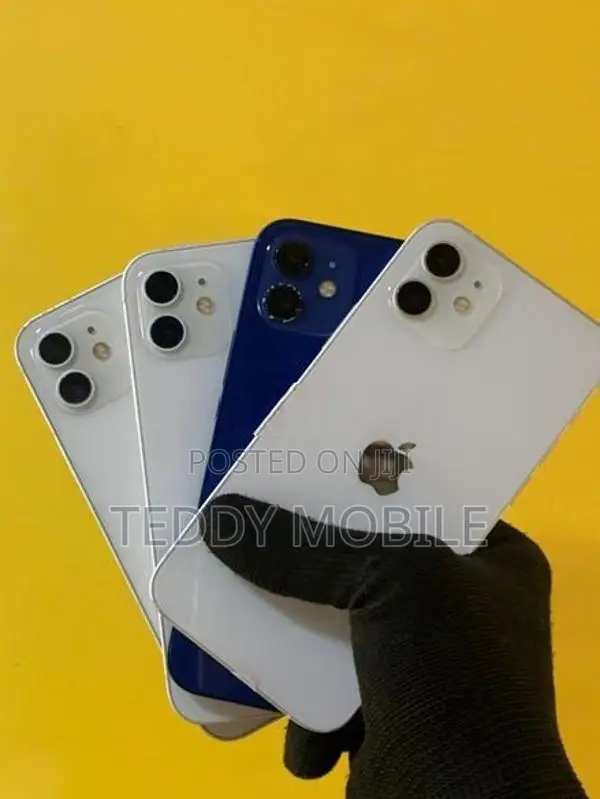 Apple iPhone 12 (Used)