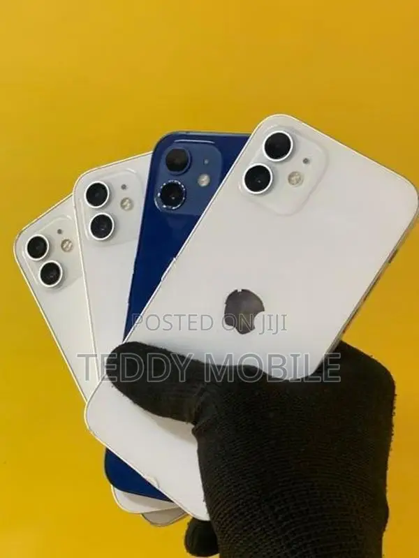 Apple iPhone 12 (Used)