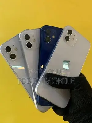 Apple iPhone 12 (Used)