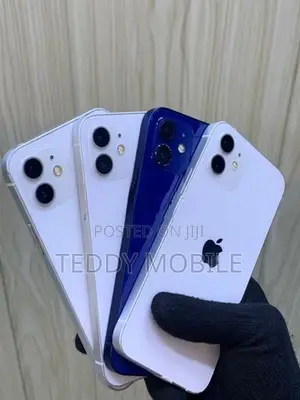 Apple iPhone 12 (Used)
