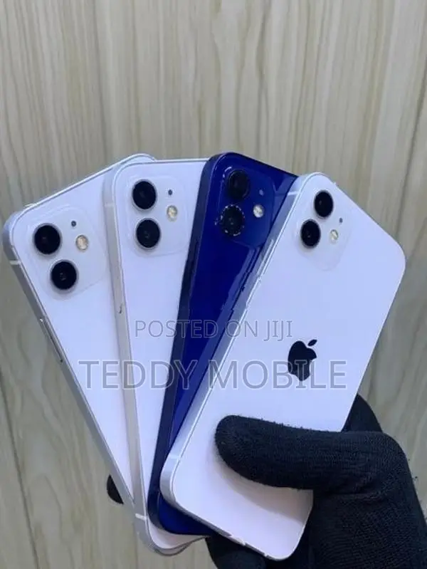 Apple iPhone 12 (Used)