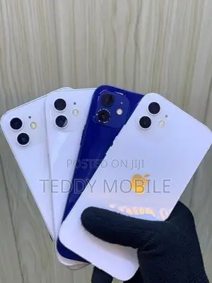 Apple iPhone 12 (Used)