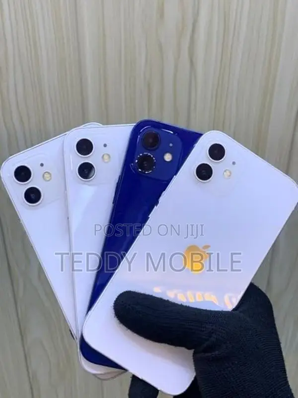 Apple iPhone 12 (Used)