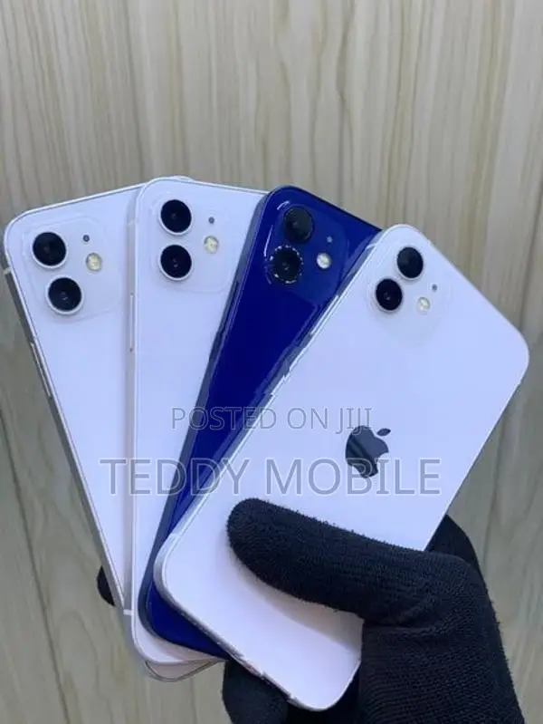 Apple iPhone 12 (Used)