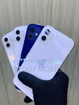Apple iPhone 12 (Used)