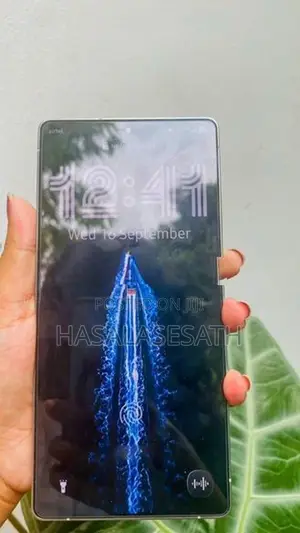 Samsung Galaxy S25 Ultra (Used)